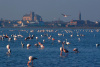 Comacchio