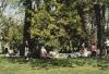 Il parco. Milano, Parco Sempione, 2006